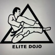 Elite Dojo - Karate in the Park